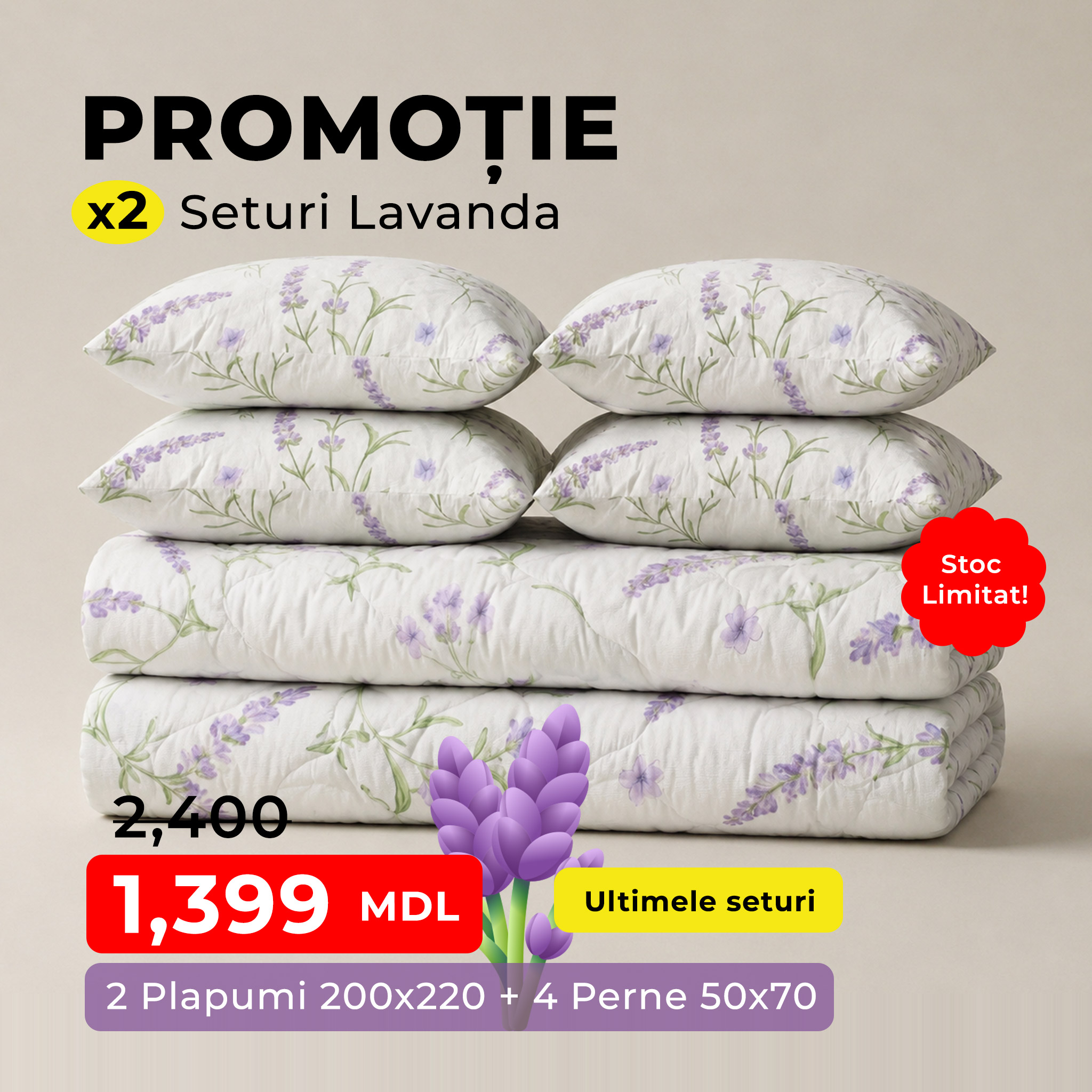 Spa ProBrush